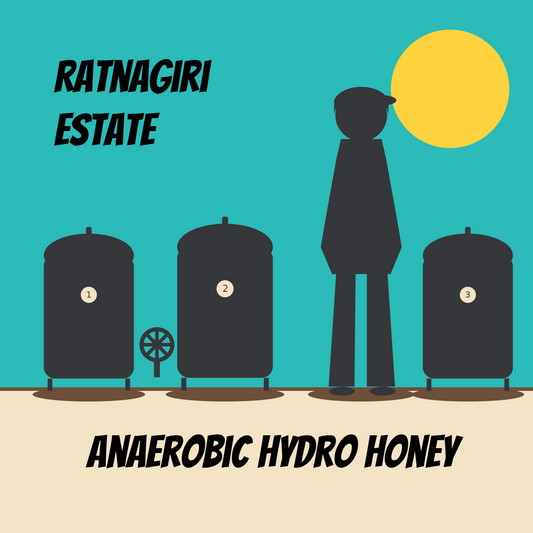Ratnagiri Anaerobic Hydro Honey
