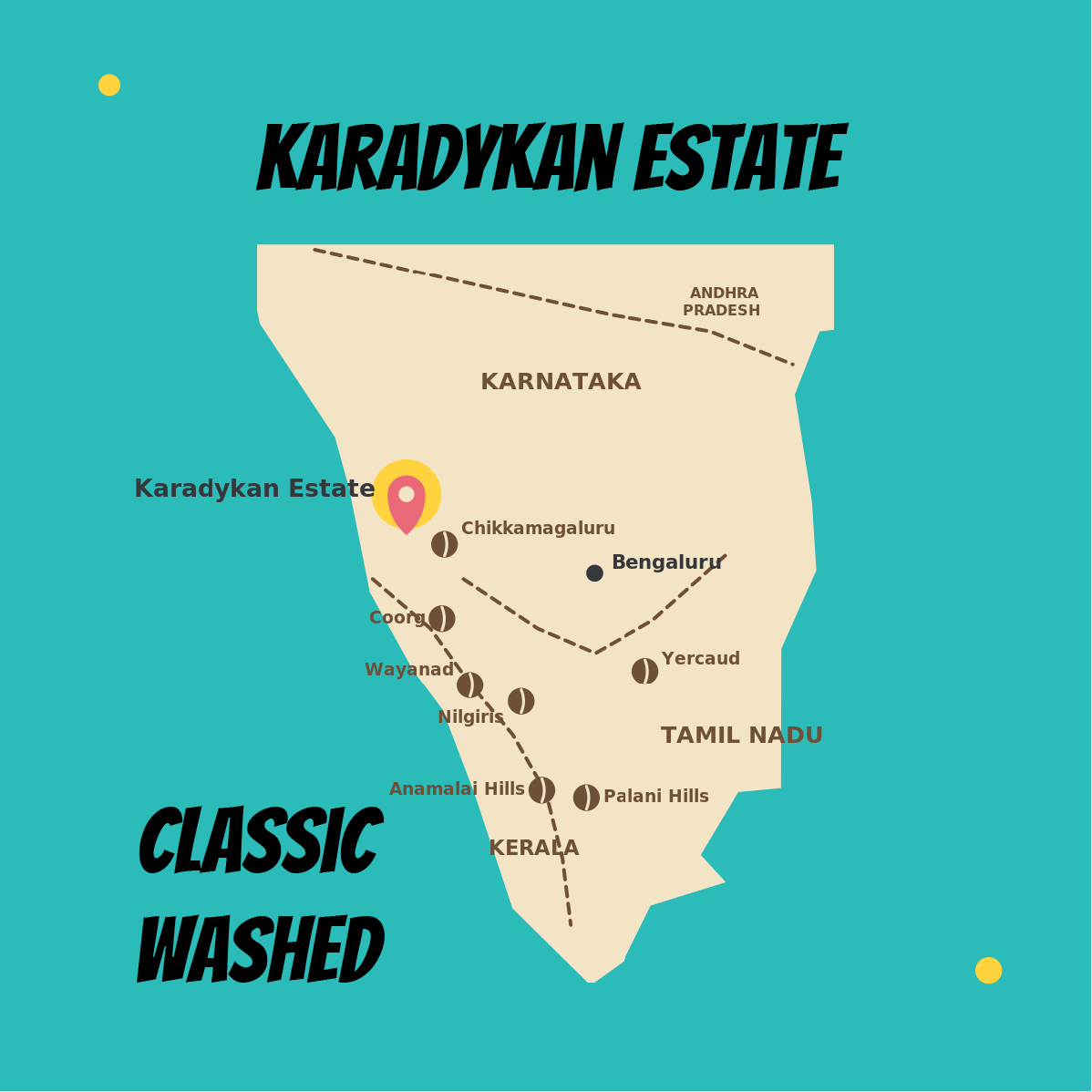 Karadykan Classic Washed