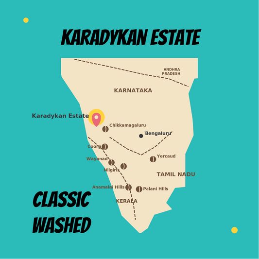 Karadykan Classic Washed