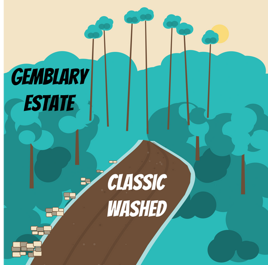 Gemblary Classic Washed