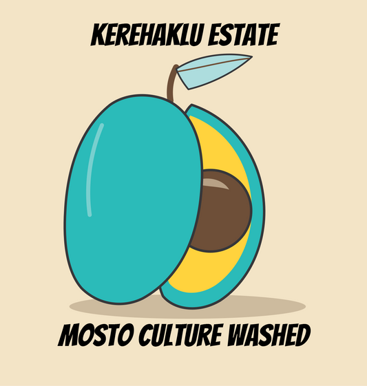 Kerehaklu Mosto Culture Washed
