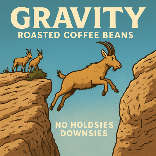 Gravity